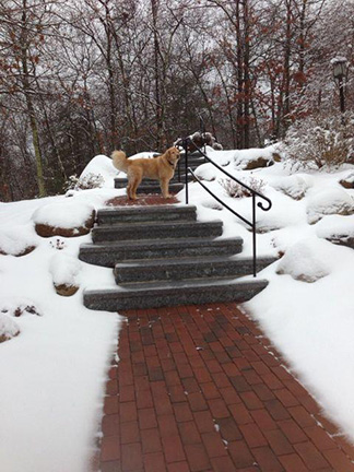 Heated sidewalk and steps