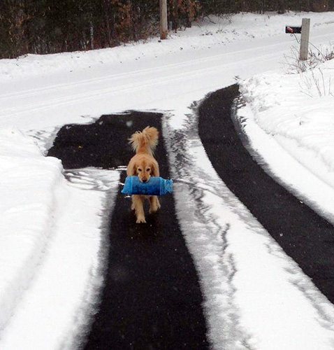 Snow melting system installed - heated tire tracks in asphalt driveway